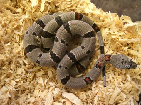 Photo01